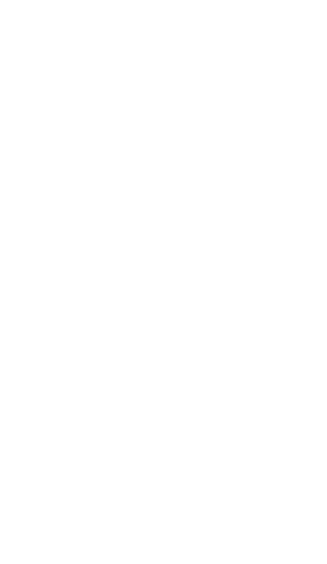V E L T
